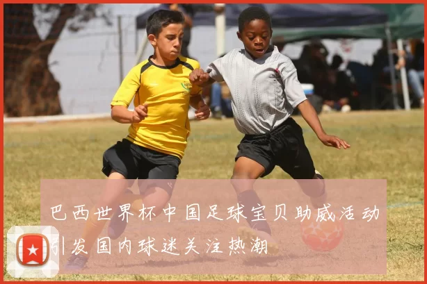 巴西世界杯中国足球宝贝助威活动引发国内球迷关注热潮