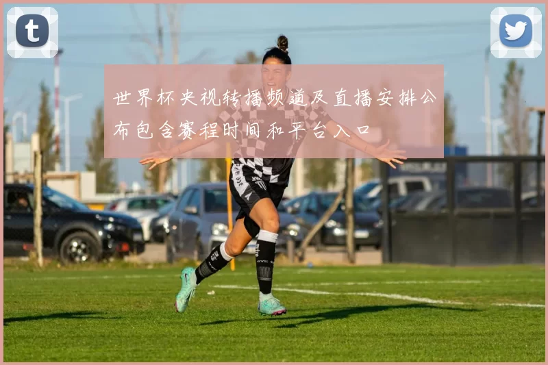 世界杯央视转播频道及直播安排公布包含赛程时间和平台入口