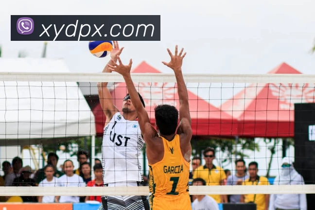 qy球友会 - 官方网站服务体系